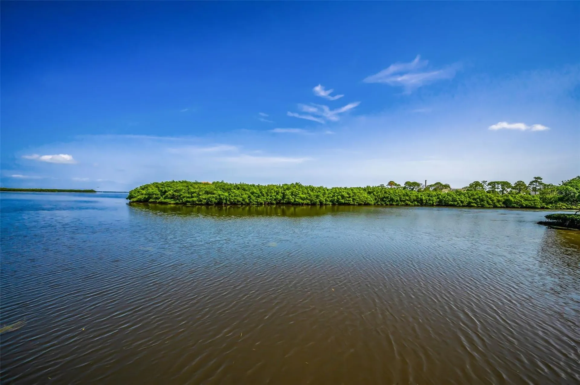 1620 Sea Breeze Drive Tarpon Springs FL 34689