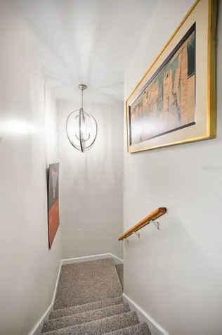 1620 Sea Breeze Drive Tarpon Springs FL 34689