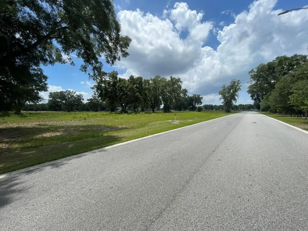 1020 Duck Box Road Umatilla FL 32784
