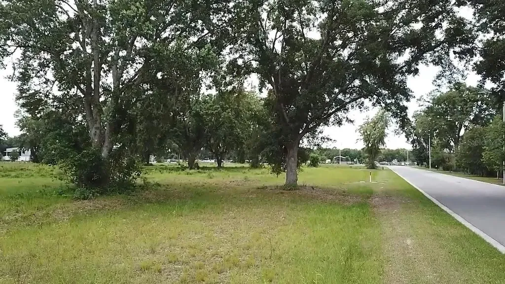1020 Duck Box Road Umatilla FL 32784