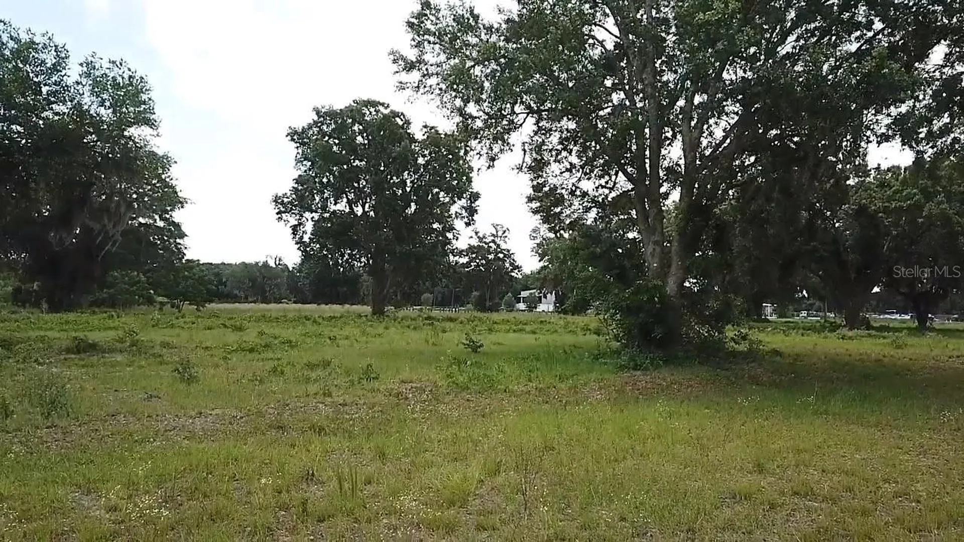 1020 Duck Box Road Umatilla FL 32784