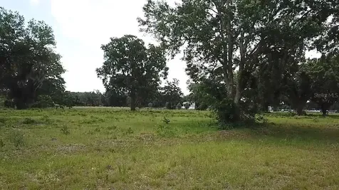 1020 Duck Box Road Umatilla FL 32784