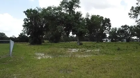 1020 Duck Box Road Umatilla FL 32784