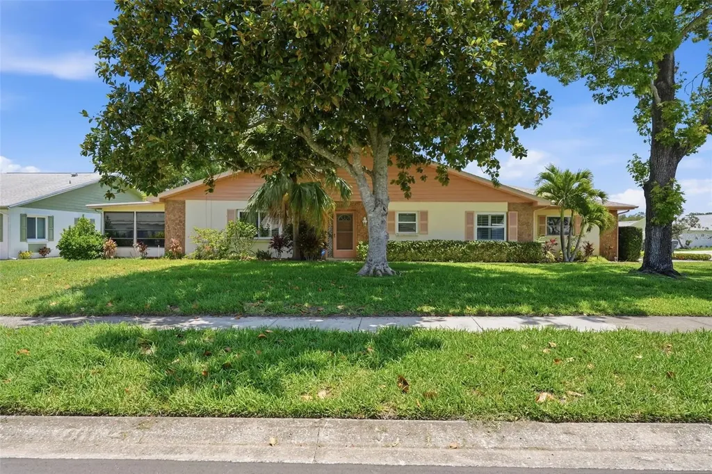 3251 Mcmath Drive Palm Harbor FL 34684