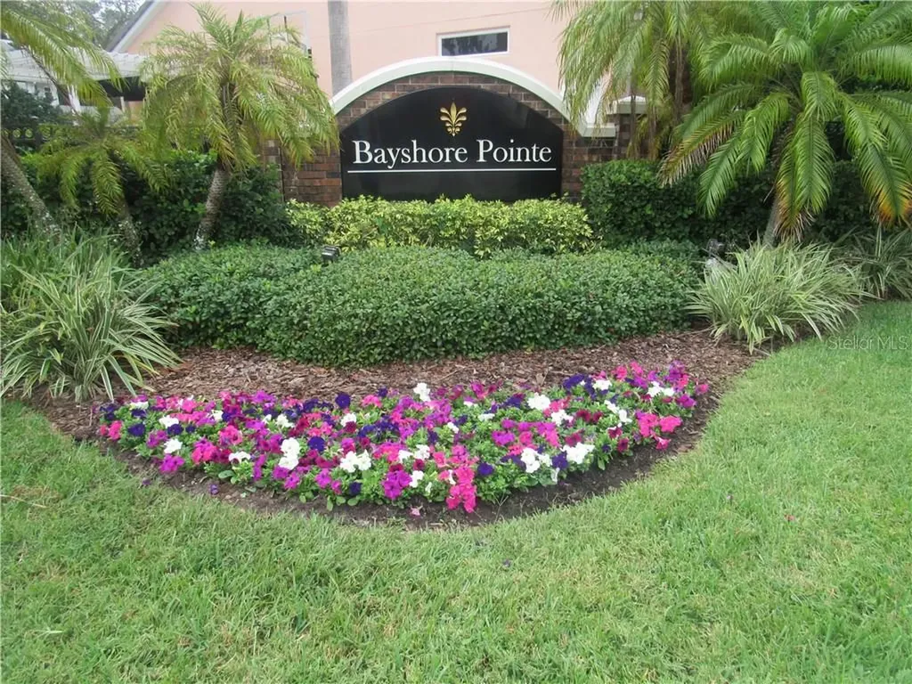 2914 Bayshore Pointe Drive Tampa FL 33611