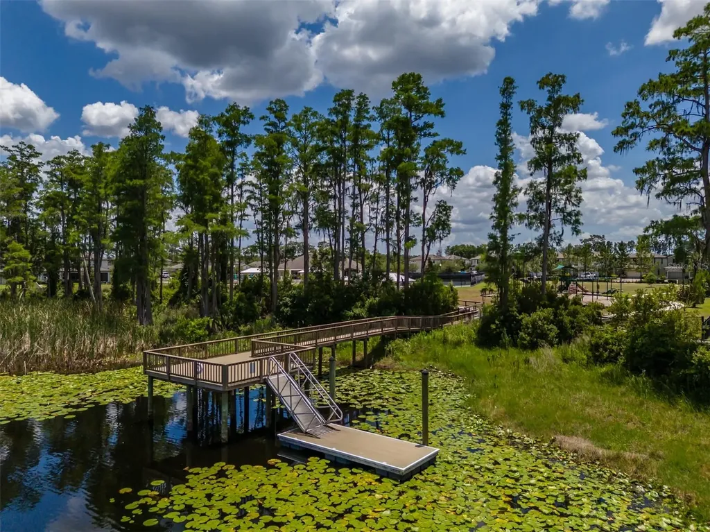 1686 Cherry Walk Road Lutz FL 33558