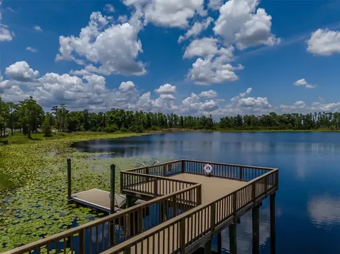 1686 Cherry Walk Road Lutz FL 33558