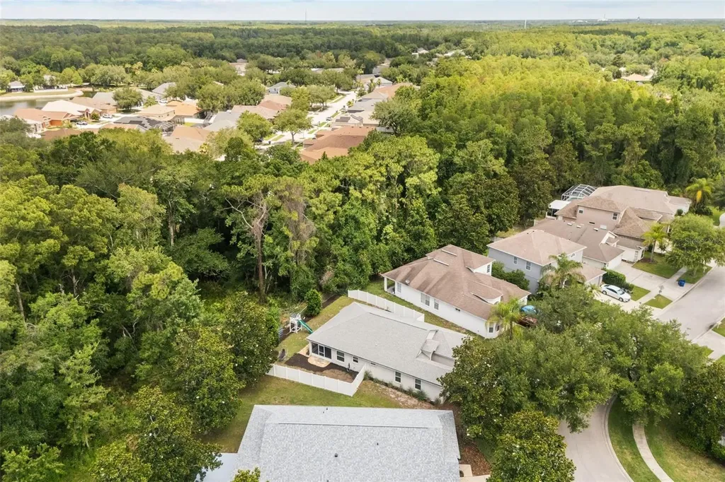 15738 Cedar Elm Terrace Land O Lakes FL 34638