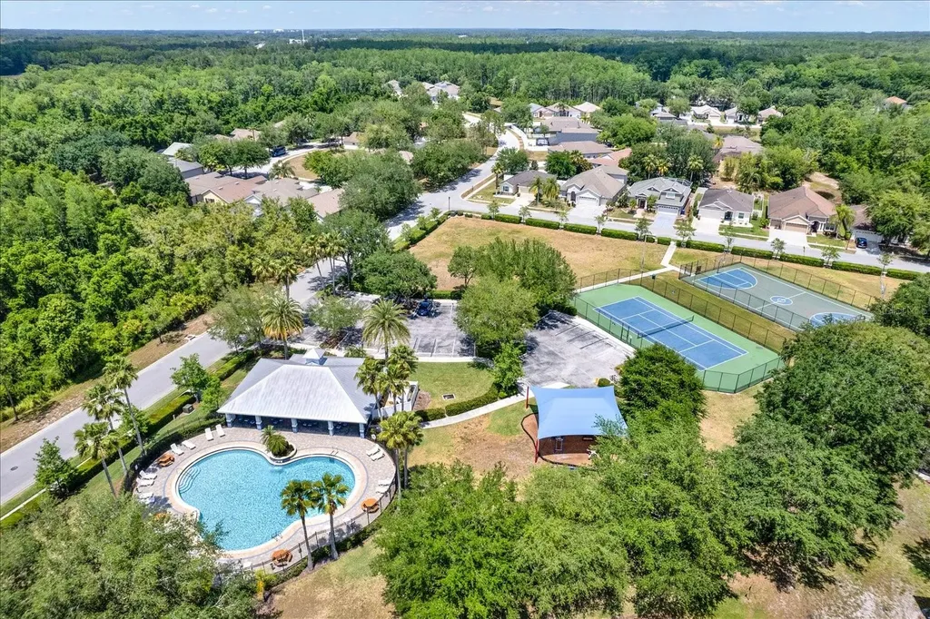 15738 Cedar Elm Terrace Land O Lakes FL 34638