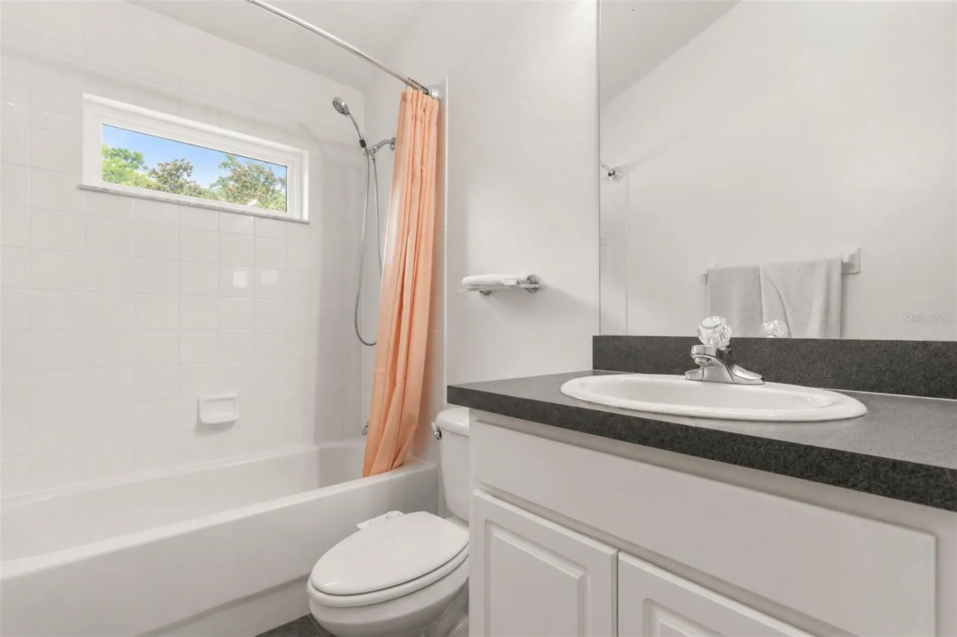 15738 Cedar Elm Terrace Land O Lakes FL 34638