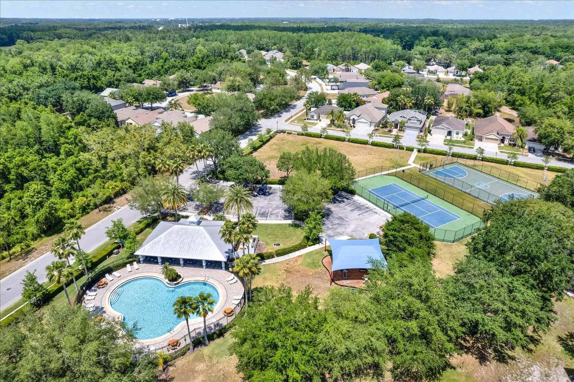 15738 Cedar Elm Terrace Land O Lakes FL 34638
