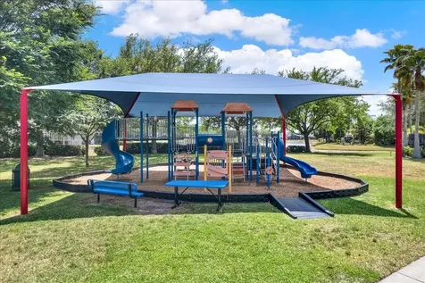 15738 Cedar Elm Terrace Land O Lakes FL 34638