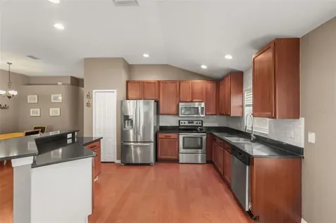 15738 Cedar Elm Terrace Land O Lakes FL 34638