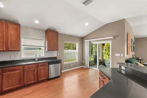 15738 Cedar Elm Terrace Land O Lakes FL 34638