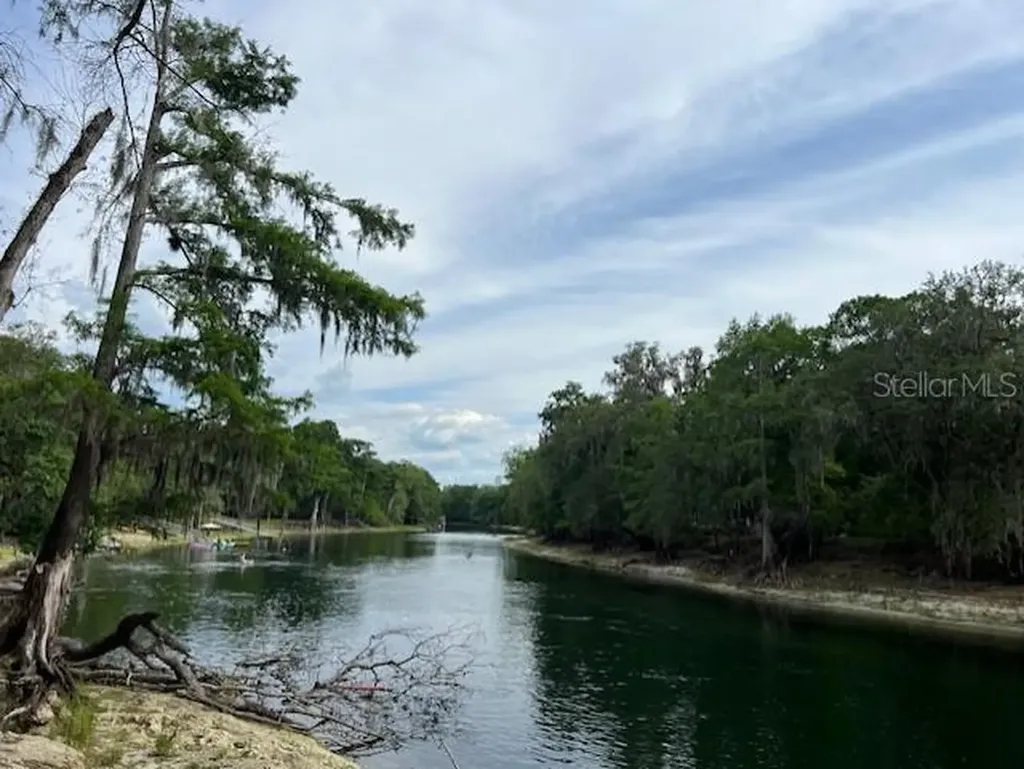 SW Bumble Street Fort White FL 32038