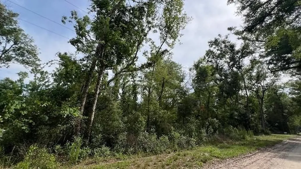 SW Bumble Street Fort White FL 32038