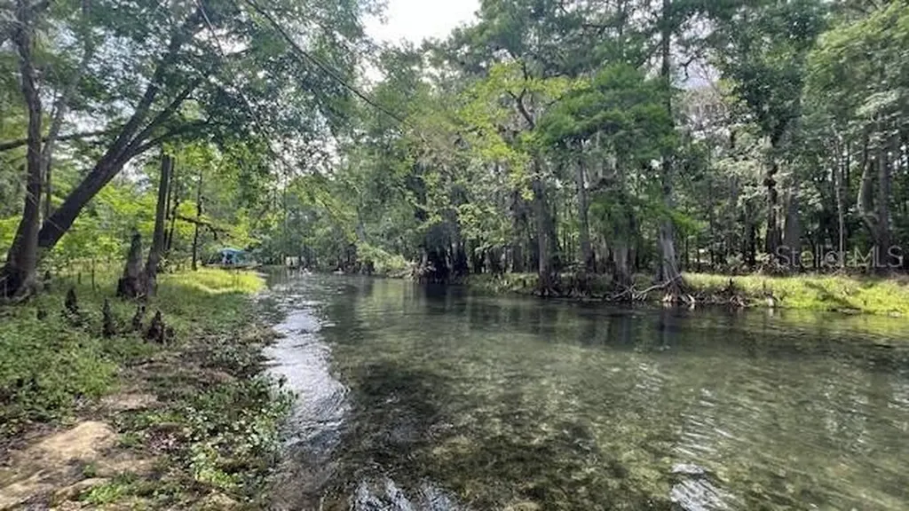 SW Bumble Street Fort White FL 32038