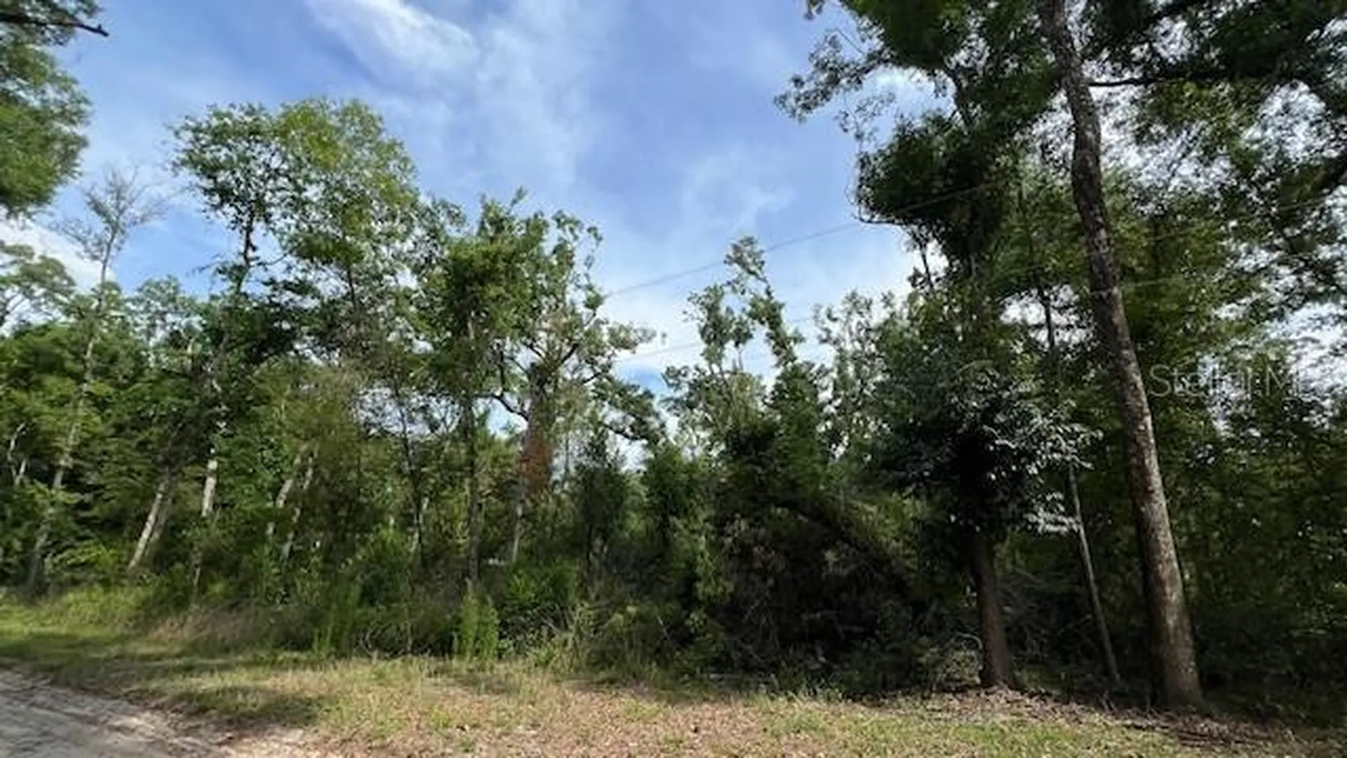 SW Bumble Street Fort White FL 32038