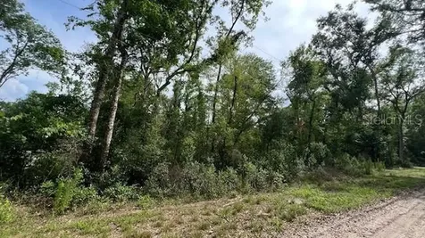 SW Bumble Street Fort White FL 32038