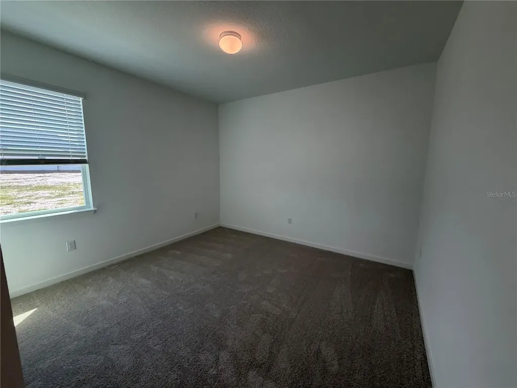 6888 Gilly Shadow Street Wesley Chapel FL 33545