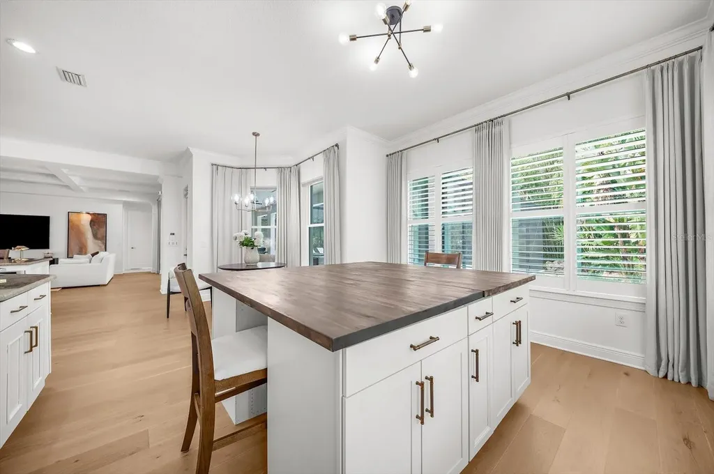9227 Tillinghast Drive Tampa FL 33626