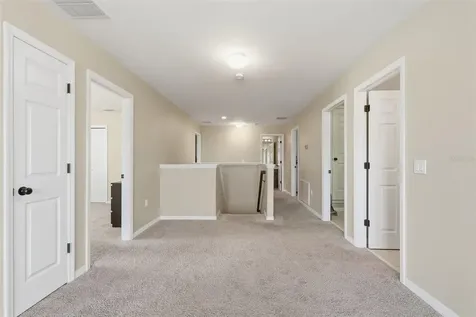8836 Cameron Crest Drive Tampa FL 33626