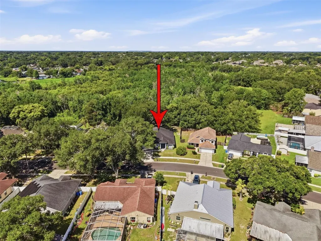1328 Gangplank Drive Valrico FL 33594