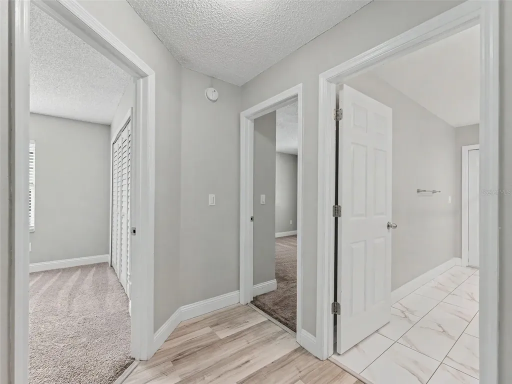 1328 Gangplank Drive Valrico FL 33594