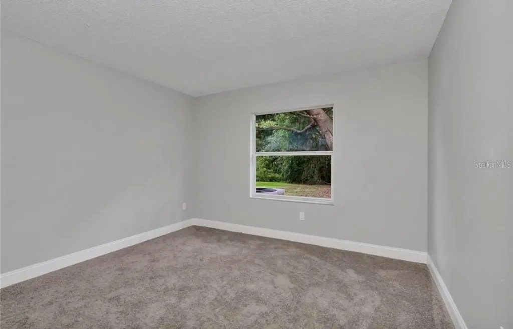 1328 Gangplank Drive Valrico FL 33594