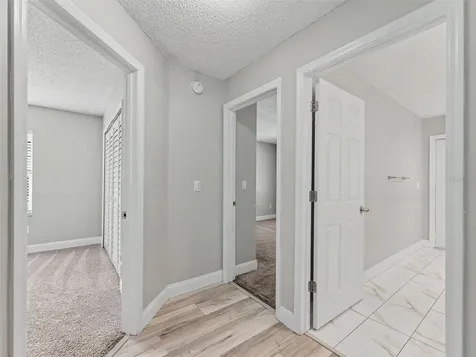 1328 Gangplank Drive Valrico FL 33594
