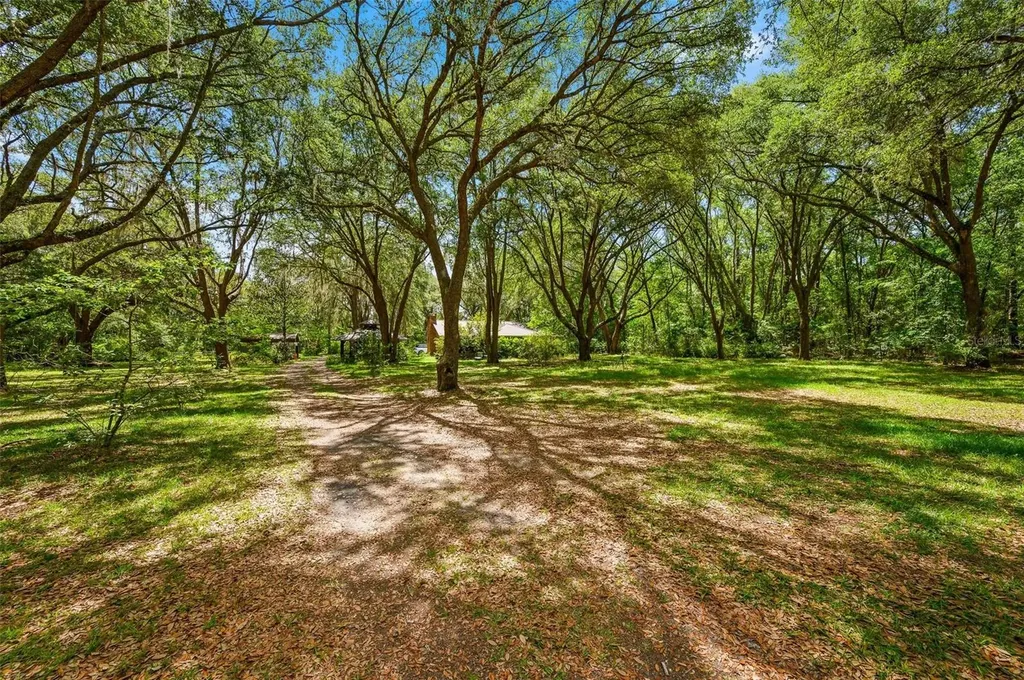 16422 NE 10th Street Gainesville FL 32609