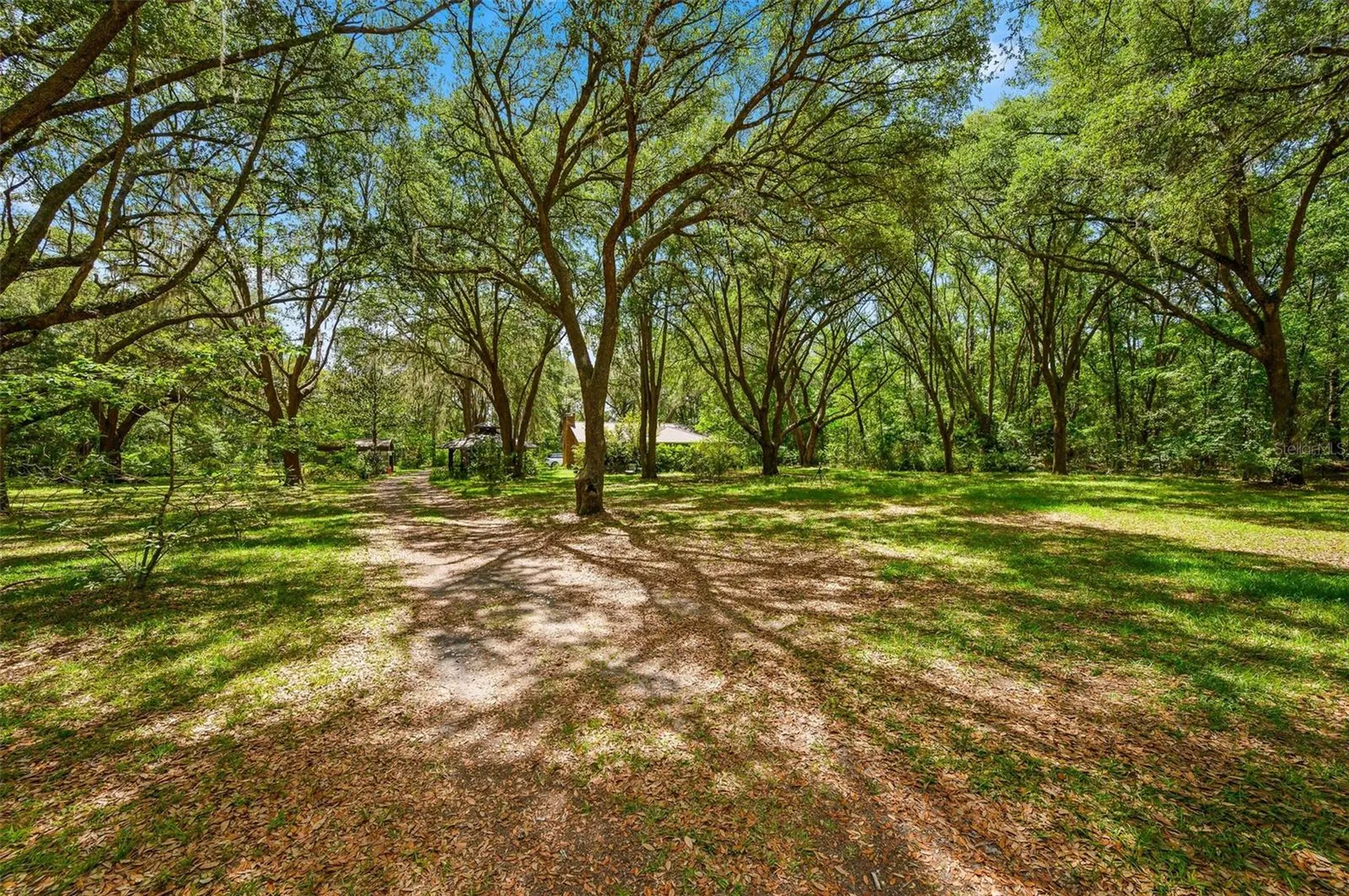 16422 NE 10th Street Gainesville FL 32609