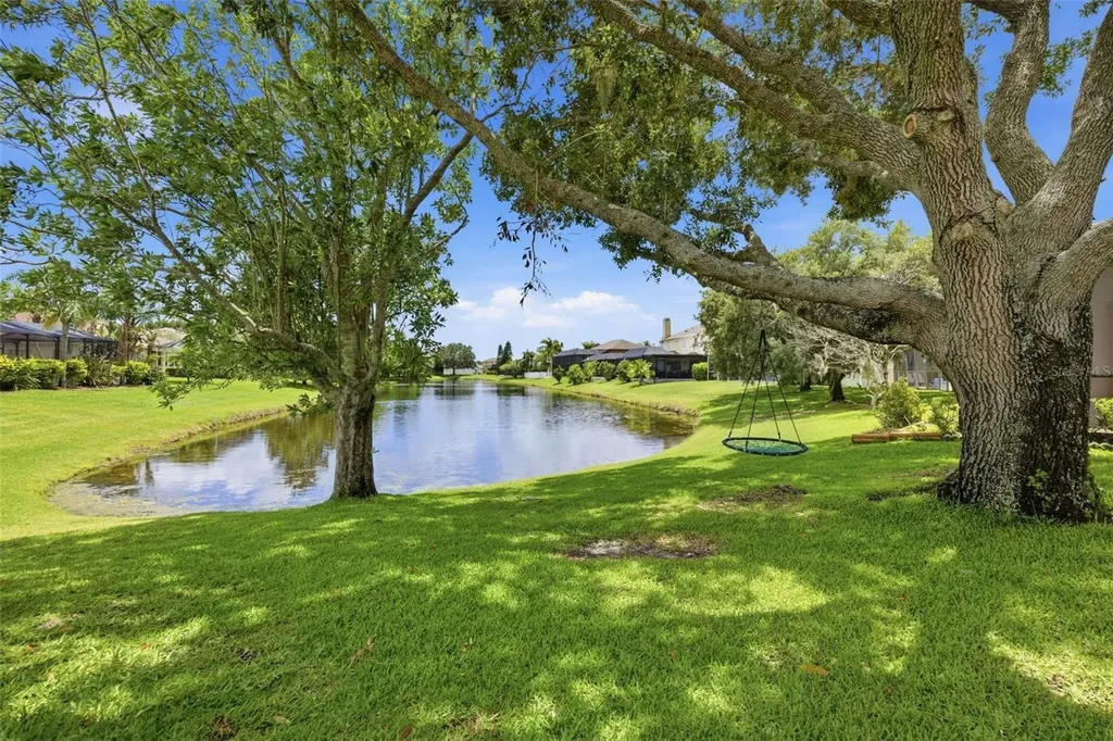16233 Carnoustie Drive Odessa FL 33556
