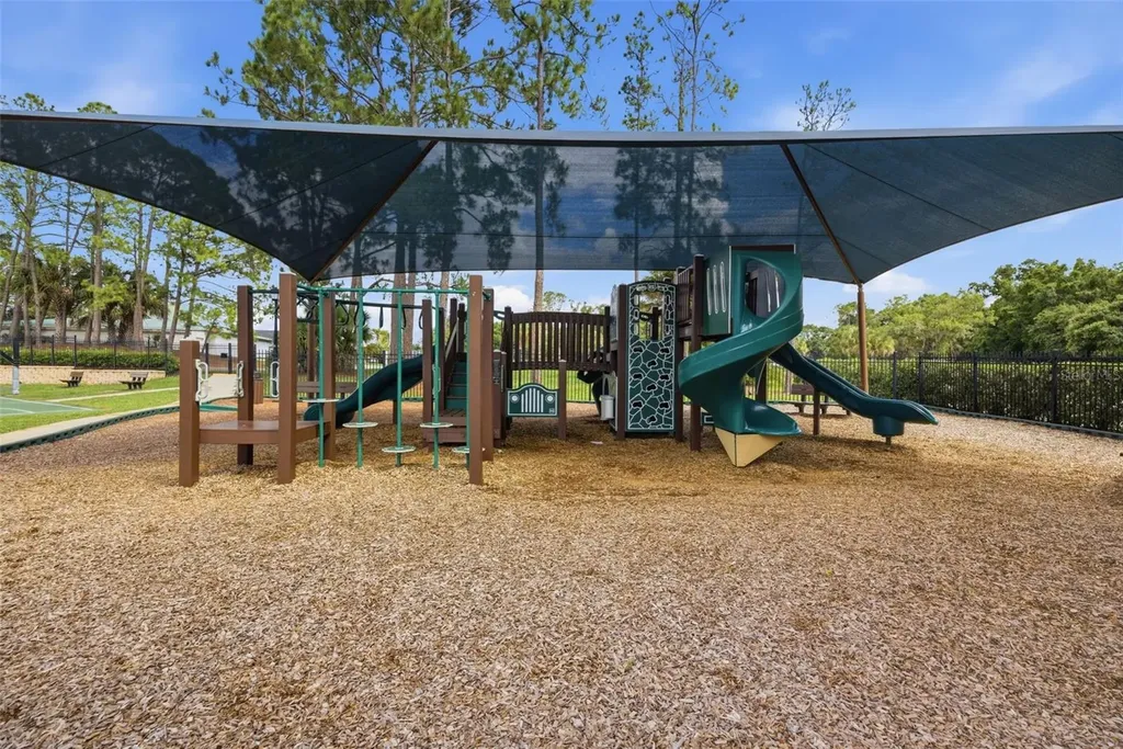 16233 Carnoustie Drive Odessa FL 33556