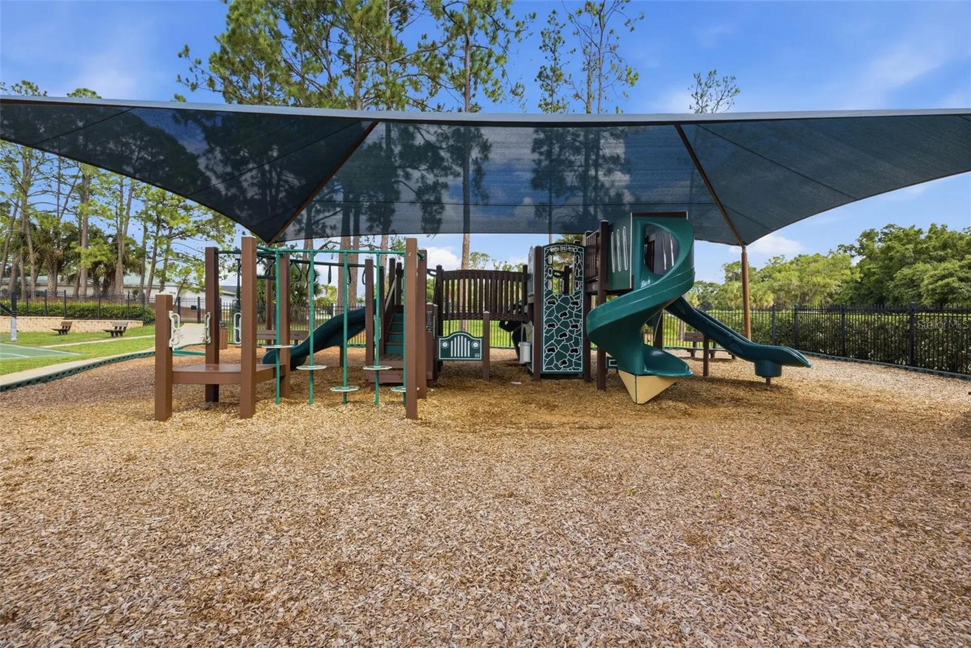16233 Carnoustie Drive Odessa FL 33556