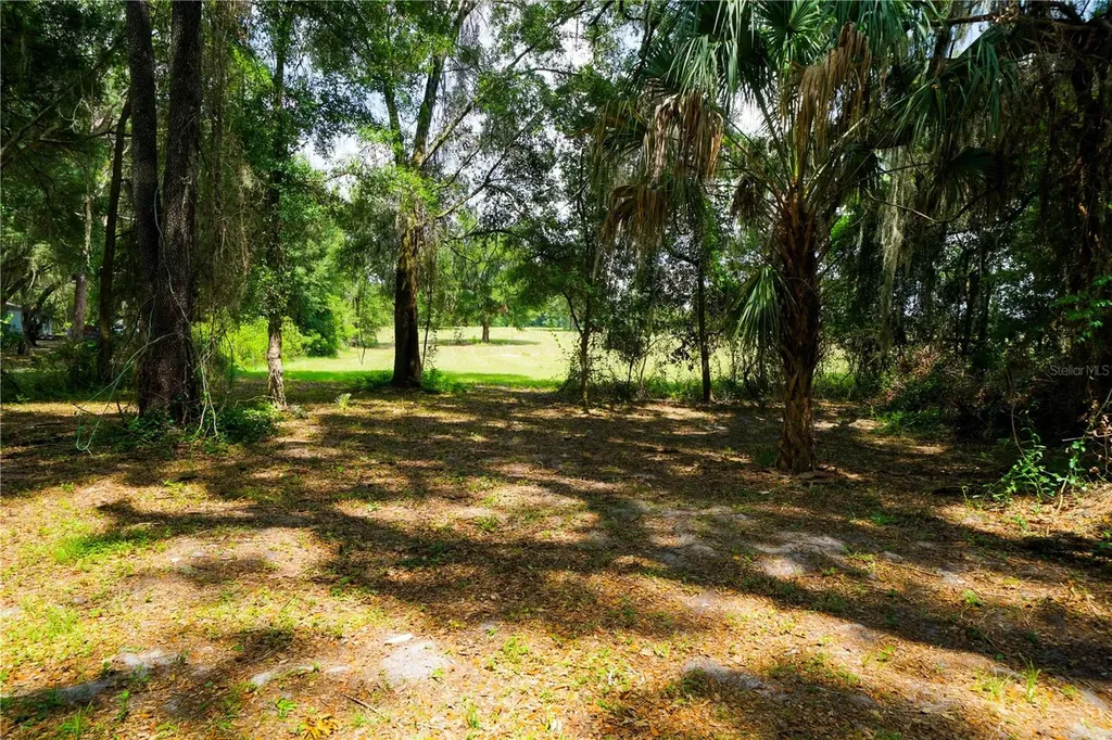 15530 SE 47th Avenue Summerfield FL 34491