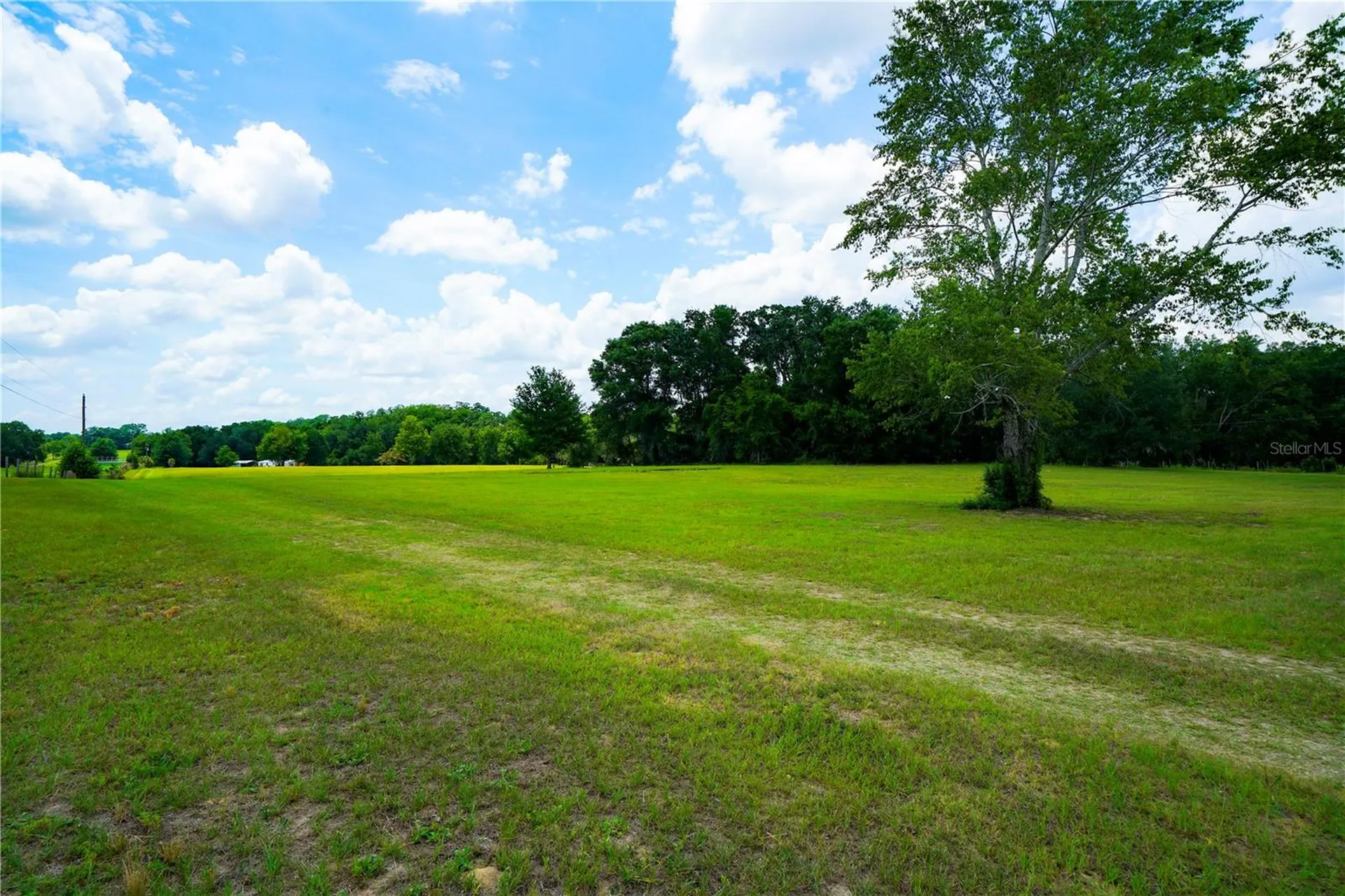 15530 SE 47th Avenue Summerfield FL 34491