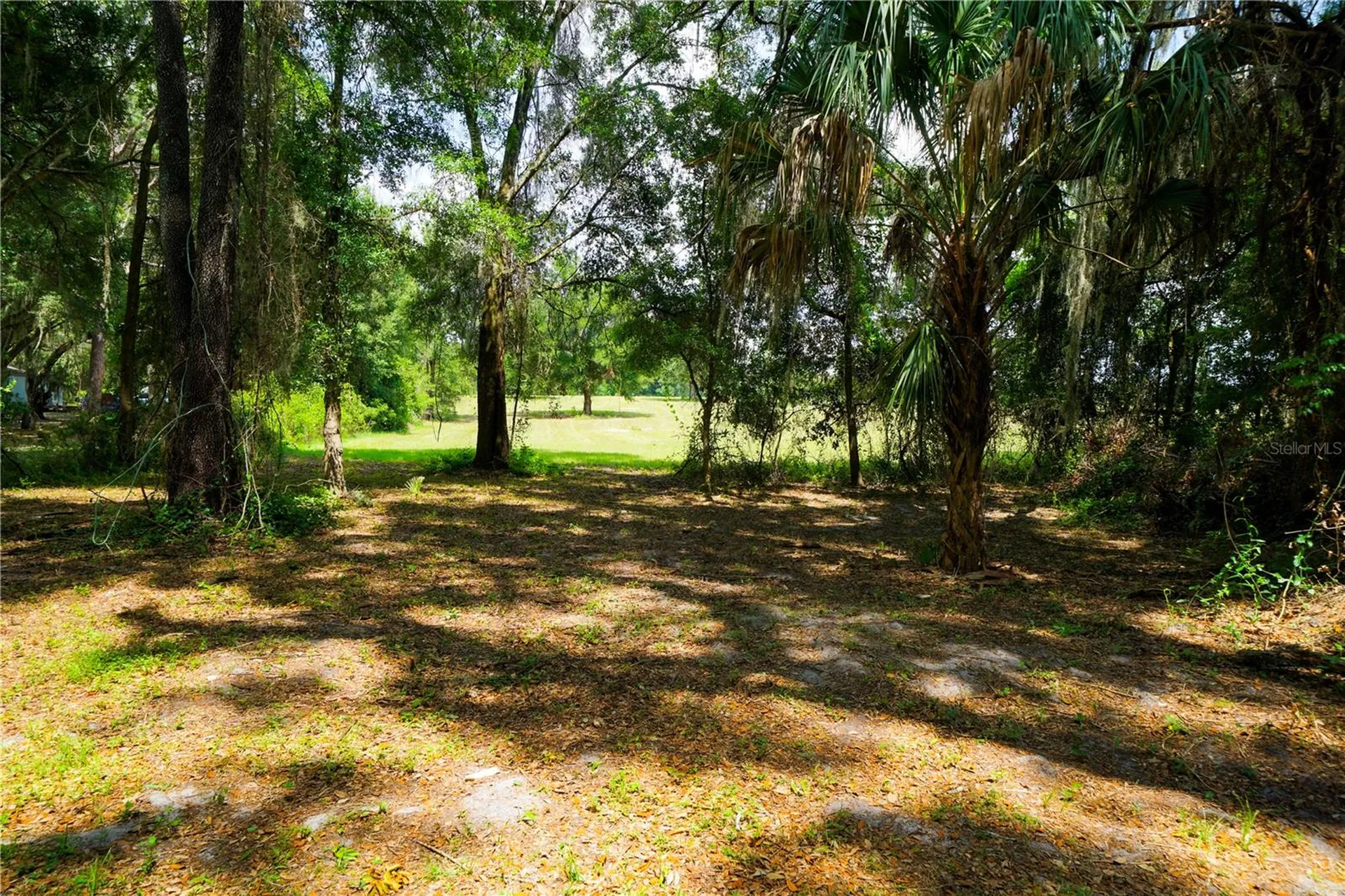 15530 SE 47th Avenue Summerfield FL 34491