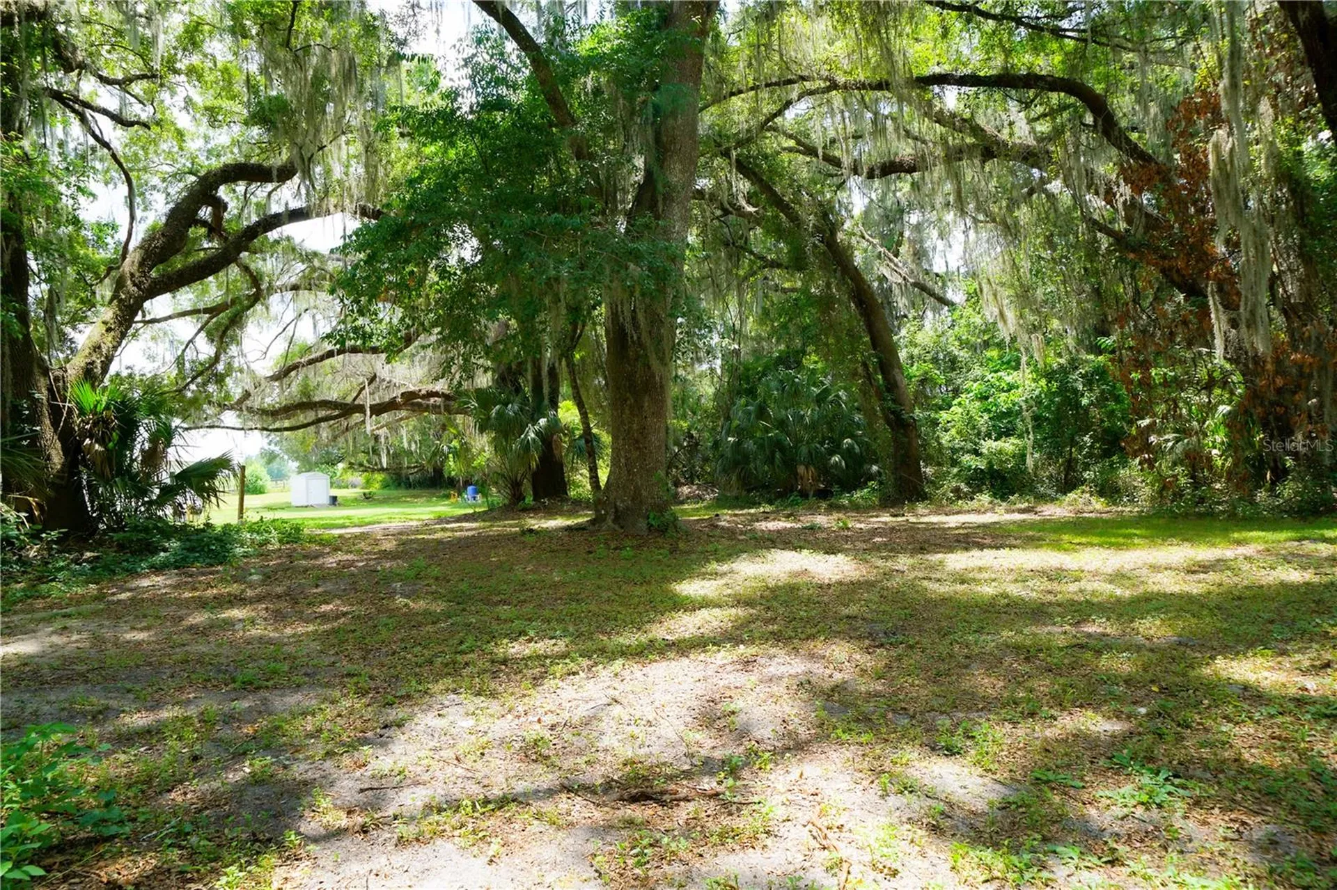 15530 SE 47th Avenue Summerfield FL 34491