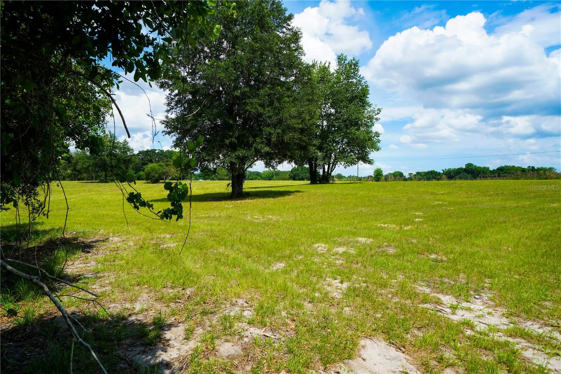 15530 SE 47th Avenue Summerfield FL 34491