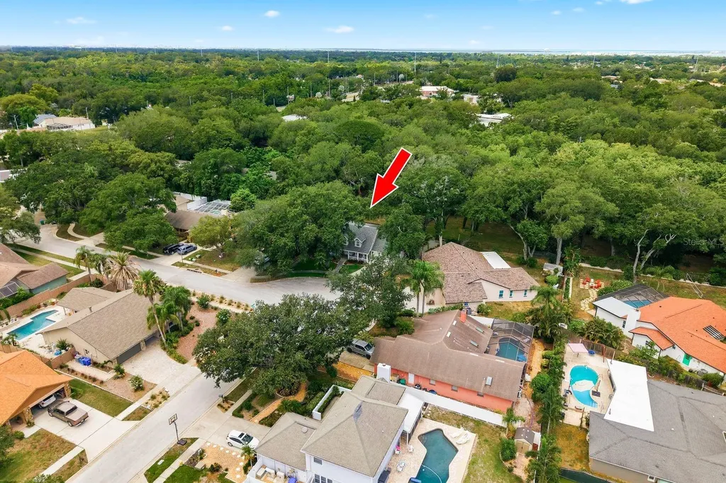 1125 Spanish Oaks Drive W Palm Harbor FL 34683