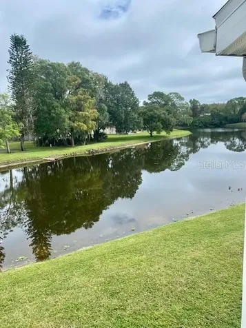 131 Sabal Court Oldsmar FL 34677