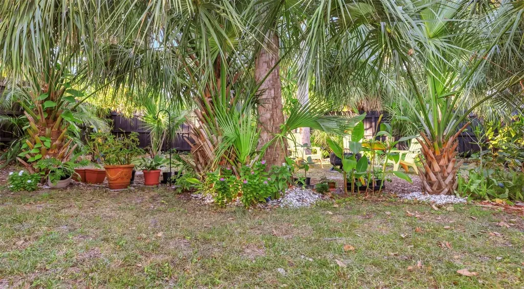 116 Read Street Tarpon Springs FL 34689