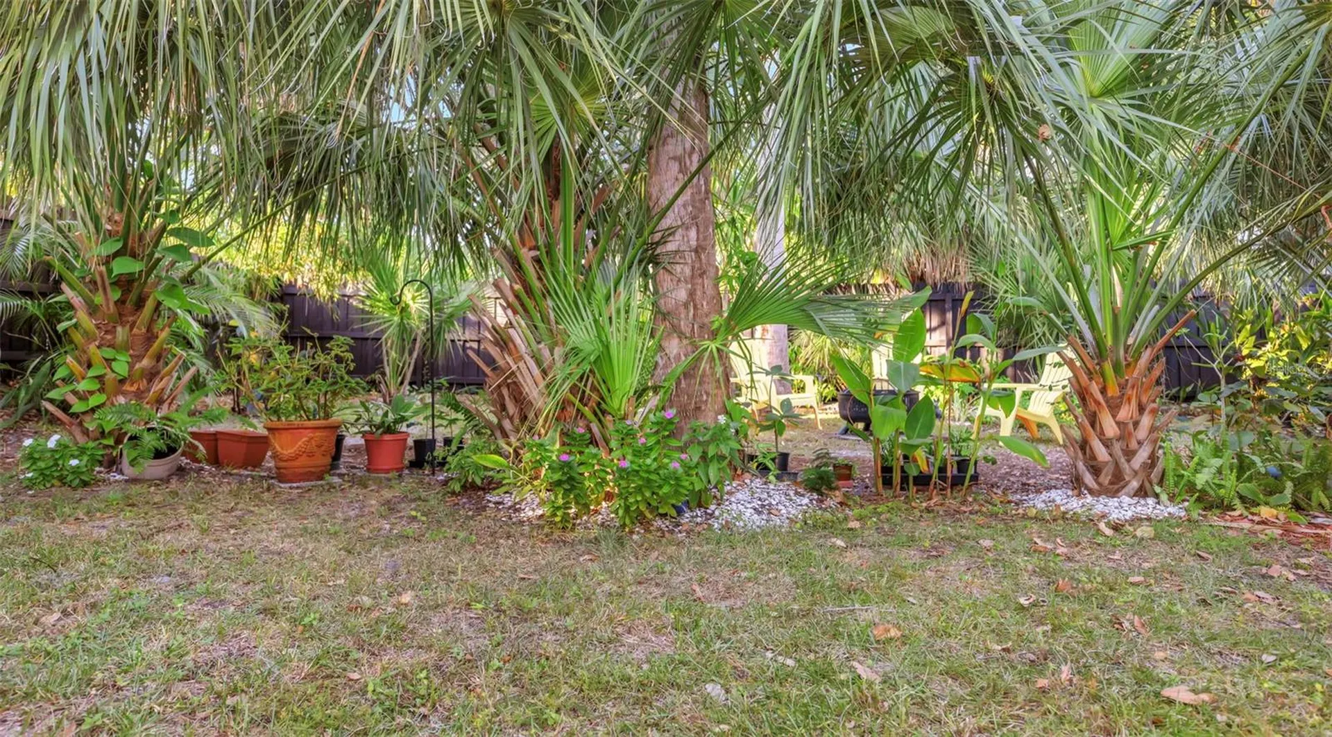 116 Read Street Tarpon Springs FL 34689