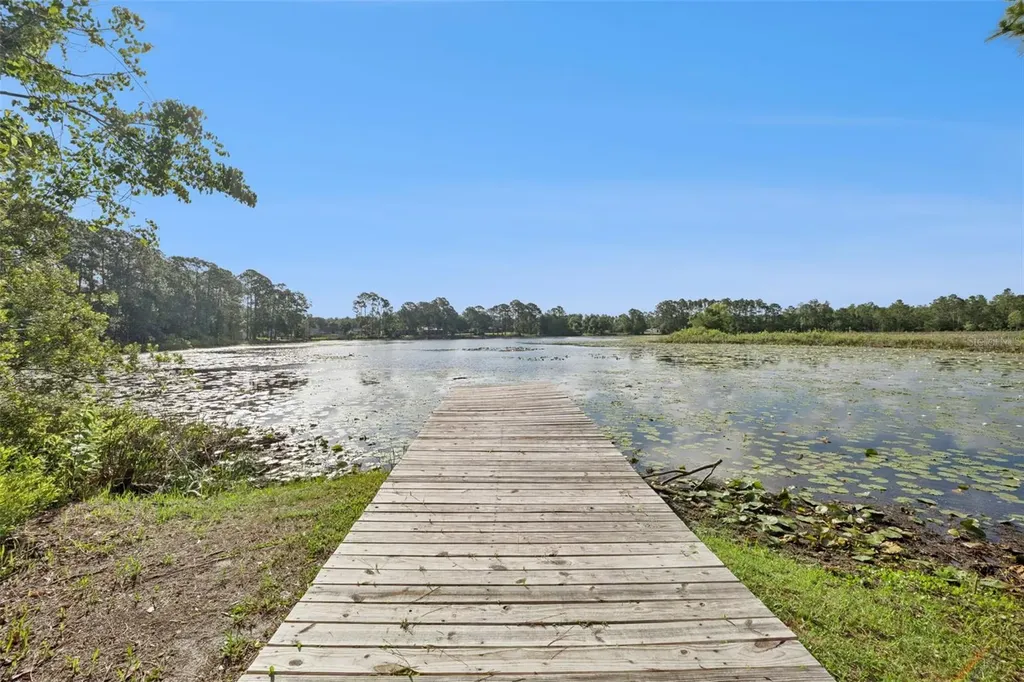 42146 Pine Valley Drive Paisley FL 32767