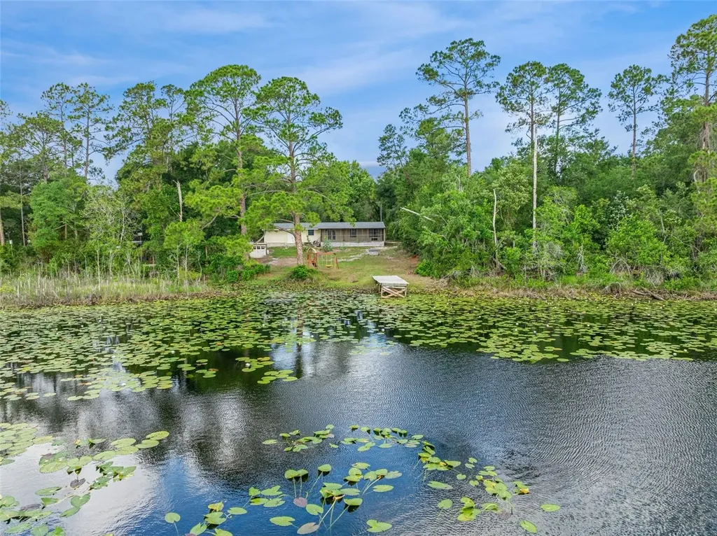 42146 Pine Valley Drive Paisley FL 32767