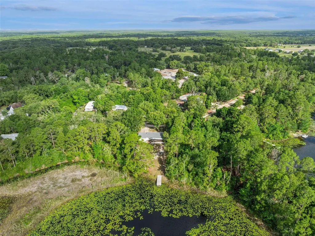 42146 Pine Valley Drive Paisley FL 32767