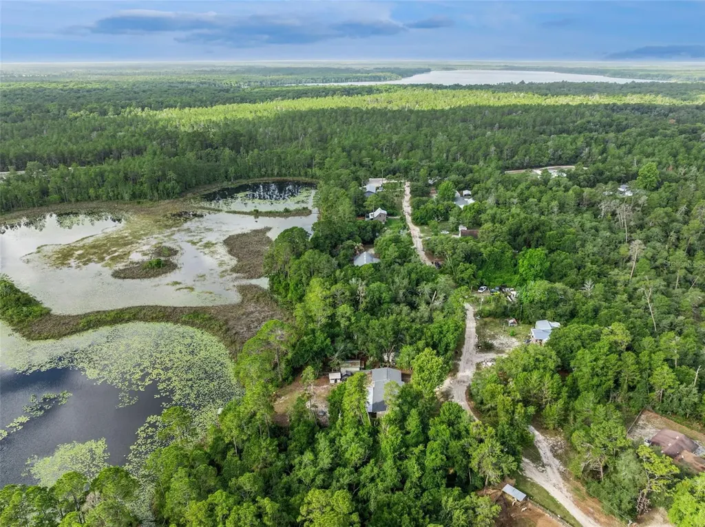 42146 Pine Valley Drive Paisley FL 32767