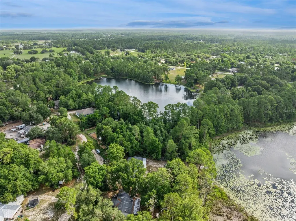 42146 Pine Valley Drive Paisley FL 32767