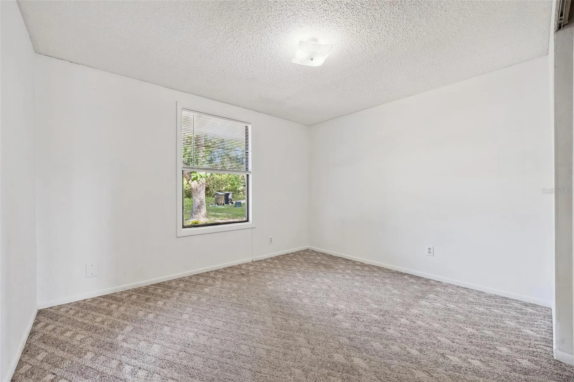 42146 Pine Valley Drive Paisley FL 32767